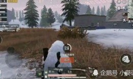 和平精英最新载具大爆料,揭秘未来战场新宠